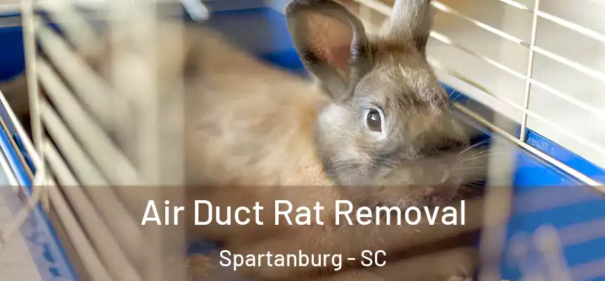  Air Duct Rat Removal Spartanburg - SC