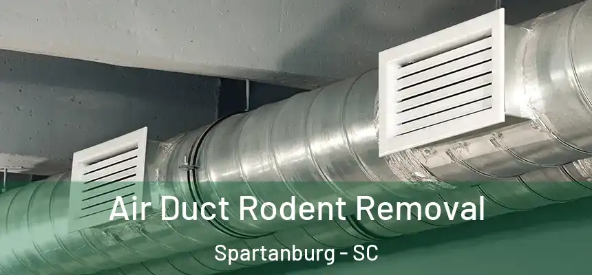 Air Duct Rodent Removal Spartanburg - SC