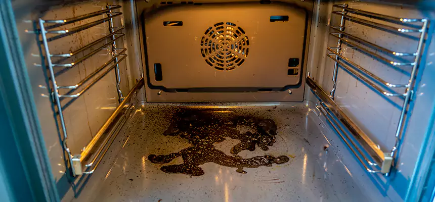 Our Dryer Vent Mold Cleaning Services in Spartanburg, SC