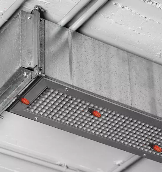 About Air Duct Cockroach Removal in Spartanburg, SC