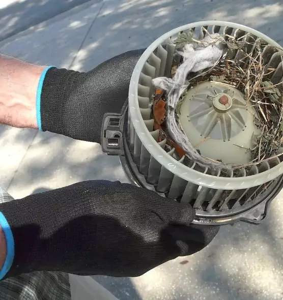 About Air Duct Mice Removal in Spartanburg, SC