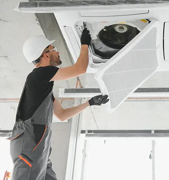 About Air Duct Rodent Removal in Spartanburg, SC