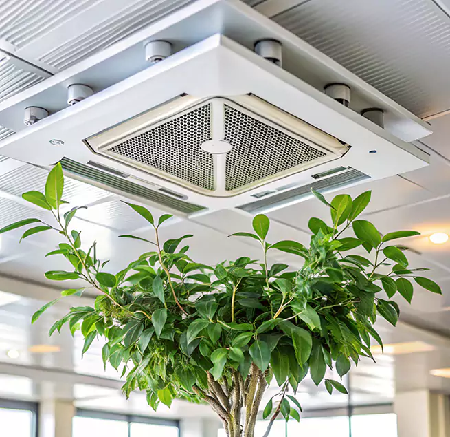 Why Homeowners & Businesses Trust Us in Spartanburg, SC?